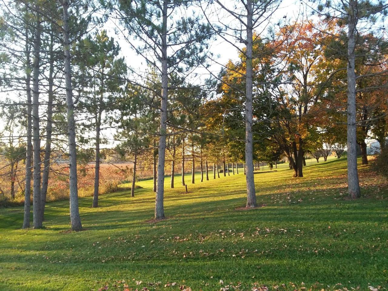 Juneau Shane Acres Country Inn מראה חיצוני תמונה